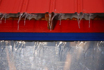 Close-up of red water