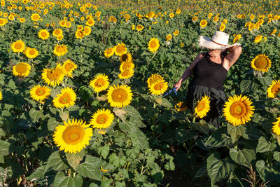 Woman into a sunflower field