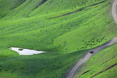 High angle view of golf course on road