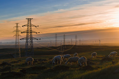 Scenic view of landscape against sky during sunset