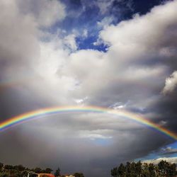 Rainbow over trees against sky