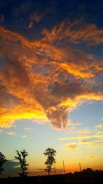 Silhouette of trees at sunset