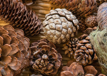 Full frame shot of breads in market