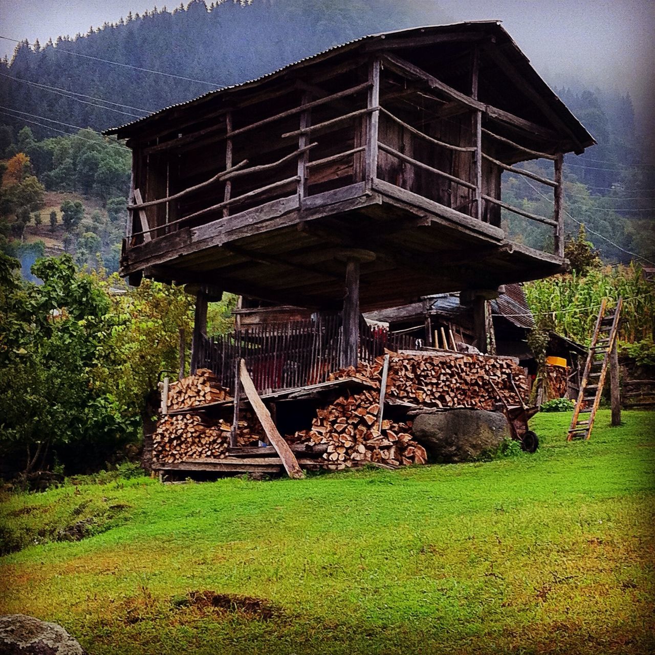 built structure, architecture, old, grass, abandoned, building exterior, tree, steps, damaged, run-down, obsolete, history, old ruin, day, water, deterioration, staircase, outdoors, tranquility, high angle view