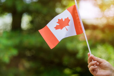 Close-up of hand holding flag