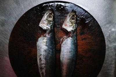 Close-up of fish for sale in market