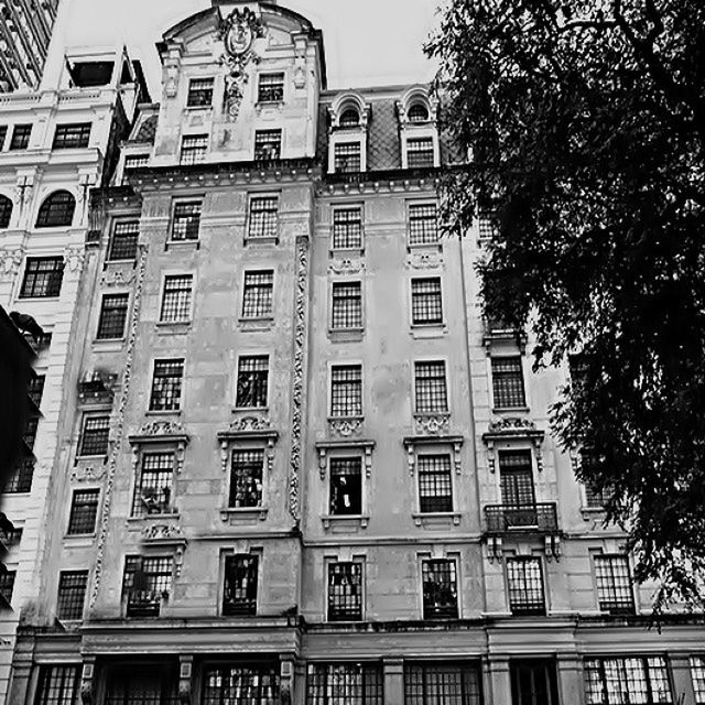 building exterior, architecture, built structure, window, low angle view, building, residential building, tree, city, residential structure, balcony, apartment, facade, day, outdoors, in a row, no people, sky, growth, branch