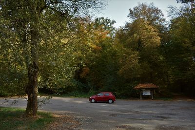 Car on road by trees in city