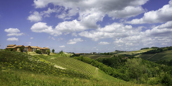 Houses on field against sky