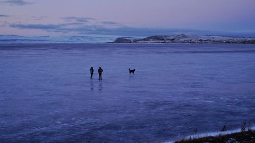 People with dog standing on frozen lake during dusk