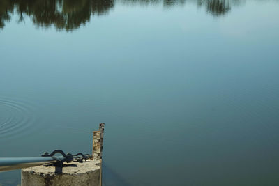 Reflection of trees in water