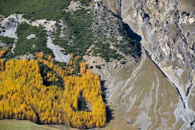 High angle view of flowing water in forest