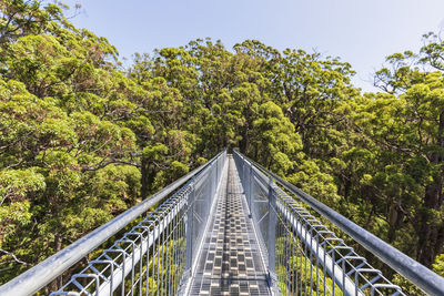 Footbridge amidst trees against sky