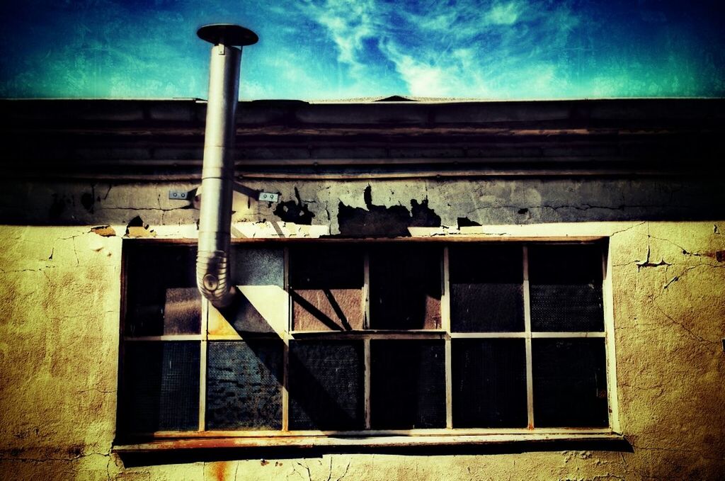 building exterior, architecture, built structure, animal themes, house, sky, low angle view, window, railing, abandoned, wood - material, outdoors, no people, one animal, blue, wall - building feature, fence, domestic animals, day, residential structure