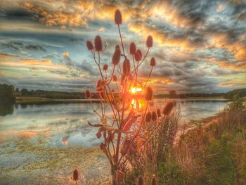 Sunset over lake