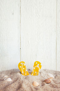 Low section of person standing by toy on floor