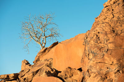 Low angle view of bare tree against clear blue sky