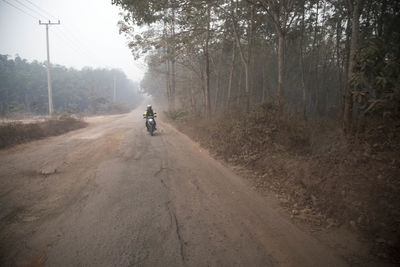 Person riding motorcycle on country road by trees