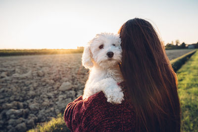 Dog on field against sky during sunset