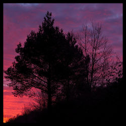 Low angle view of bare trees against sky