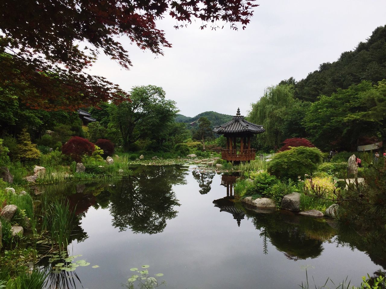 reflection, water, tree, lake, growth, nature, outdoors, waterfront, architecture, plant, sky, beauty in nature, day, built structure, tranquility, no people, building exterior