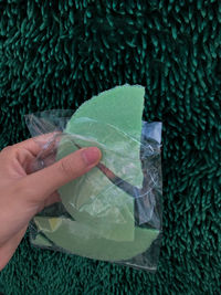 Cropped image of person holding leaves