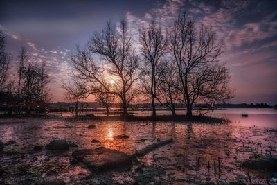 Bare tree by lake against sky during sunset