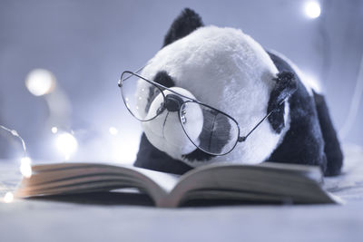 Eyeglasses with panda toy on book