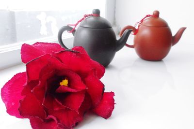 Close-up of red rose over white background