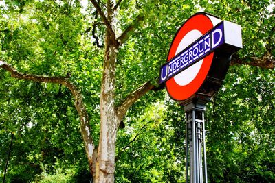 Low angle view of sign board next to tree