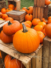 High angle view of pumpkins on table