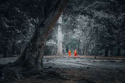 Rear view of person on tree trunk in forest