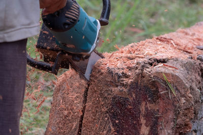 Man working on leaf