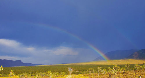 Scenic view of field against rainbow in sky