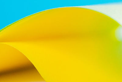 Close-up of yellow flower against blue sky