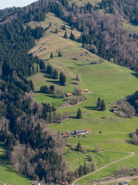 High angle view of agricultural field