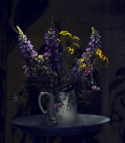 Close-up of purple flowers