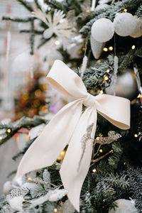 Close-up of christmas tree in snow