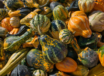 Full frame shot of pumpkins at market