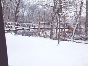 Bare trees on snow covered field