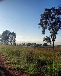 Scenic view of field against clear sky