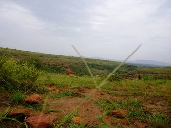 Scenic view of field against sky
