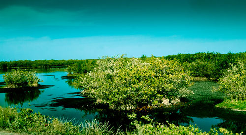 Scenic view of lake against blue sky