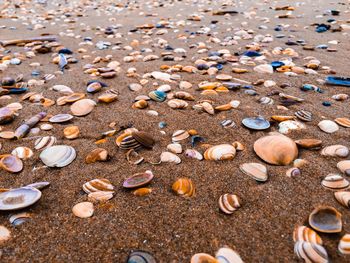 Full frame shot of pebbles