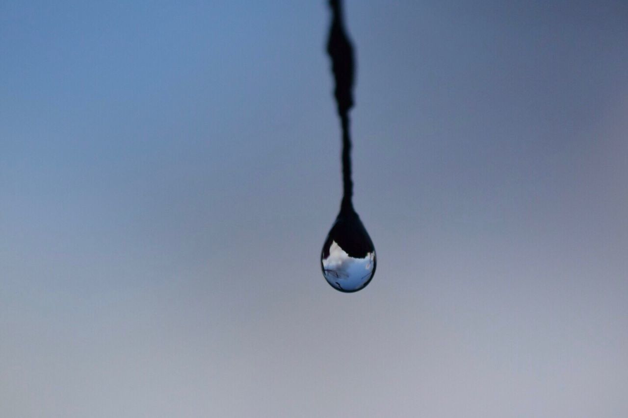 hanging, no people, nature, sky, outdoors, close-up, beauty in nature, moon, day, animal themes