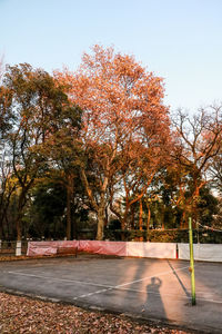 Road by trees against clear sky during autumn