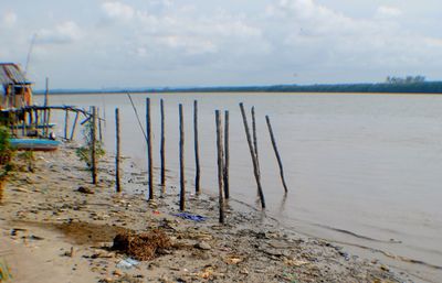 Wooden posts on beach against sky