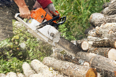 Midsection of man cutting logs in forest