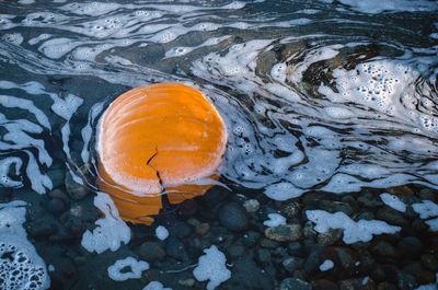 Close-up high angle view of water