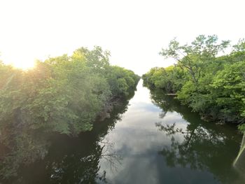 Scenic view of river amidst trees in forest against sky